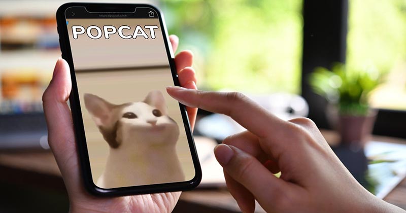 เกมแมว popcat - " popcat cat game "