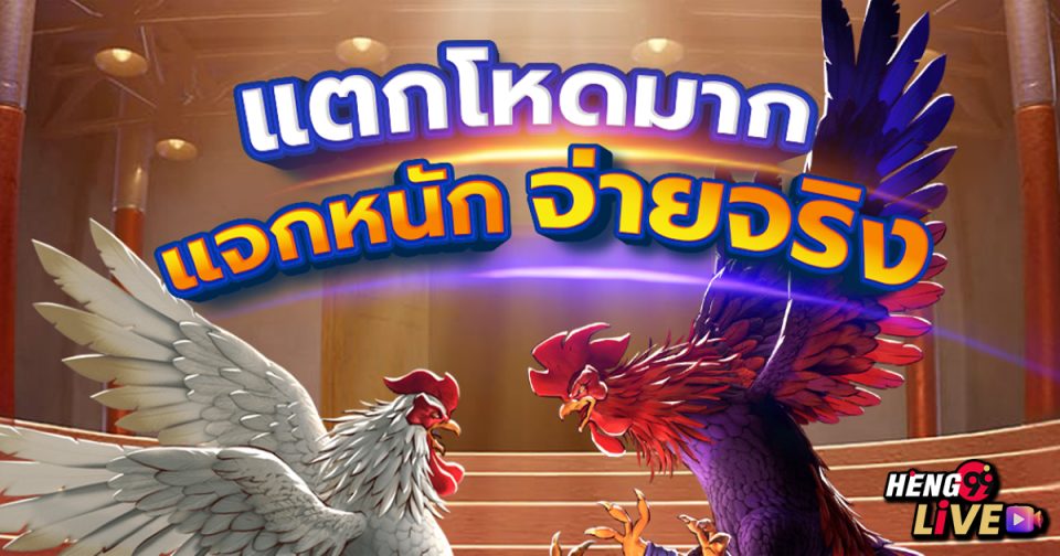 เกมไก่ชน-"game"